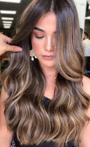 Fabulous Hair Colors That Will Change Your Look 31 In 2020 Brown Hair With Highlights Long Hair Styles Honey Brown Hair