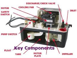 If heating or ac are a must, then connect the yellow wires to an alarm. Little Giant Condensate Pump Wiring Diagram 110v Gfci Schematic Wiring Diagram Delco Electronics Butuhbelaian2 Jeanjaures37 Fr