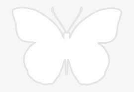 We offer you for free download top of butterfly wings black and white clipart pictures. White Butterfly Clipart White Butterfly Silhouette Png Png Image Transparent Png Free Download On Seekpng