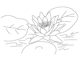Don't forget to browse our website to discover more free coloring pages. Lotus Flower Coloring Pages Coloring Home