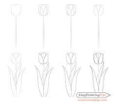 Maybe you would like to learn more about one of these? Easy Tulip Drawing Step By Step Easydrawingtips