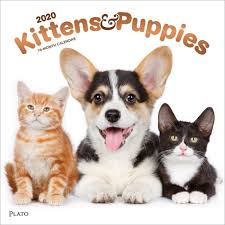 Wallpapers (4,274) discussions (3) members (171) Kittens Puppies Wall Calendar Calendars Com