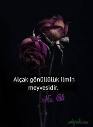 Sadece açarlar ve ışığa dönerler. Anlamli Sozler Alcakgonulluluk Ile Ilgili Sozler Facebook