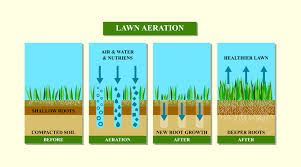 General pest control company for sale, long time customers. Fertilizer Weed Control Lawn Pest Control Services In Shelby County By Nature Pro Lawn Care Alabaster Pelham Helena Calera Chelsea