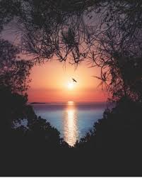 Senja pohon alam matahari terbenam langit 2907 gambar gambar gratis dari senja pohon. 15 Jepretan Sunset Terindah Dari Berbagai Dunia Ada Indonesia Juga