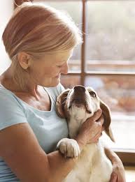 Pet Services Chapel Of The Light Fresno Ca