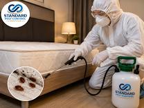 Bed Bug Treatment Bangalore