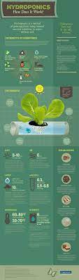 Hydroponics Infographic Hydroponic Farming Hydroponics Hydroponic Gardening