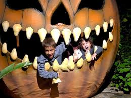 There's many things to do, you. Top Things To Do In Jacksonville Fl With Kids A Family Travel Guide Frugal For Luxury
