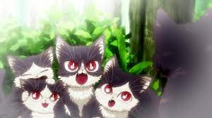 My roommate is a cat. Haru S Siblings My Roommate Is A Cat Wiki Fandom