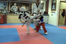The certification about the compliance with en/iso/iec 17025 of the. Re Taekwondo Sport And Action Photography Forum Digital Photography Review