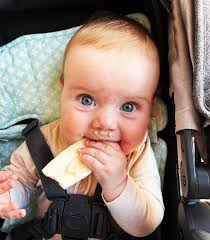 FIELDS of vincent (@fieldsofvincent) · Instagram 照片和视频