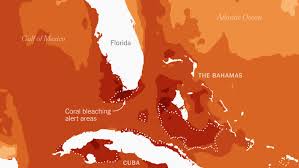 Are Water Temps In Florida Keys Truly Record Setting? It'S Complicated...