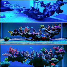 Multi colored led jellyfish tank fish box sea world aquarium lamp qaq. Love This Live Rock Insert Saltwater Aquarium Saltwater Fish Tanks Coral Reef Aquarium