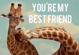 Beat Friends Animals Giraffe My Best Friend