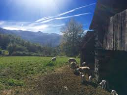 They soon find out that their perfect house might just have a past. Finding The Perfect House In France Foothills Of France