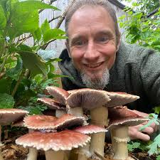 How to Grow Wine Cap Mushrooms