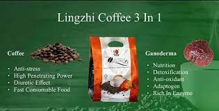 Pin By Thayasara On Dxn Nutrition Food Adaptogens