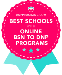 Get program details and career information for an online doctorate to determine whether this degree is right for you and your goals. 2021 S Best Online Bsn To Dnp Programs Plus All Programs