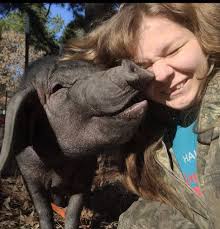 Hi, as many of you probably know Peter babb passed away today. He's been  there since I was really young and has just been a complete shock and my 6  year old