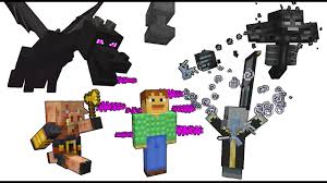 Repeat step 1, but replace the 21 with 12, 11, 10, and/or 5. I Became Invincible In Survival 1 17 Minecraft Youtube