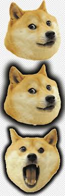 Doge (often dohj, dohg, dohzh) is an internet meme that became popular in 2013. Three Doge Meme Classic Shell Button Start Menu Skin Shell Carnivoran Dog Like Mammal Png Pngegg