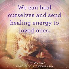You can do this in part by eliminating heat lamps can be purchased from any pet store but they are normally used for lizards, so they may be in the lizard section of the store. Energy Healing For You And Your Pets By Abby Wynne Healyourlife