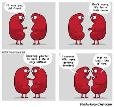 Is My Relationship With This Kidney Gonna Last Brave Lace Project Some people whose kidneys have failed may qualify for a kidney transplant. kidney gonna last