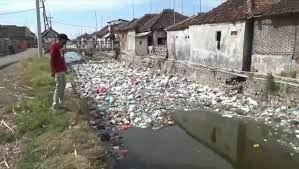Setelah itu, saya juga harus menunggu jadwal pembuangan sampah plastik seminggunya lagi. Warga Buang Sampah Sembarangan Bau Busuk Tercium Dari Muara Sungai Di Pasuruan Bagian 1