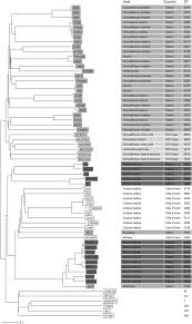 Plus de 60 championnats du monde entier. An In Vitro Study On Staphylococcus Schweitzeri Virulence Scientific Reports