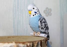 Crochet Budgie Pattern Tutorial Pdf Amigurumi New Year Bird Etsy Crochet Parrot Budgies Crochet Bird Patterns