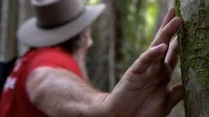 I'm a celeb is returning to our screens next year and it looks like we may already know which lucky. 34sq7ejntut4zm