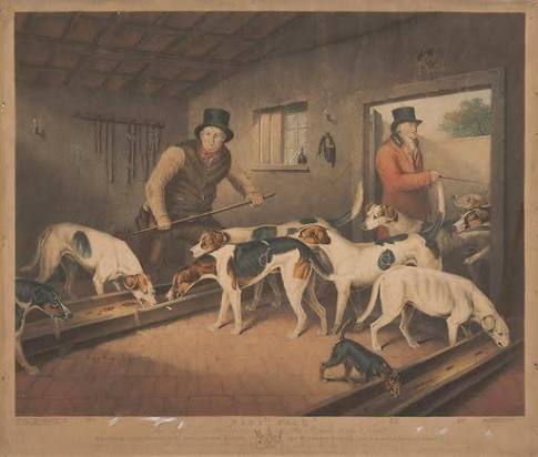 Fox Hunting: Raby Pack / The Earl of Darlington's Fox … free public domain image | Look and Learn