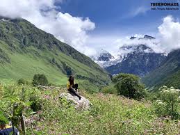 Valley of flowers national park is an indian national park, located in north chamoli, in the state of uttarakhand and is known for its meadows of. Valley Of Flowers Frequently Asked Questions Answered