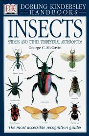 The bugs and insects are on this planet from the almost 300millions years. Handbooks Insects 9780789493927 Penguinrandomhouse Com Books In 2021 Insects For Kids Insects Insect Activities