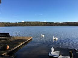 Treppe Aus Edelstahl Von Www Wellness Stock De Fur Den Einstieg In Den See Pool Oder Schwimmbad Individuell Angepasst An Die Ortlich Schwimmbader Treppe Pool