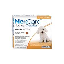 Nexgard For Dogs Pet Vm