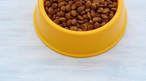 Check spelling or type a new query. Diamond Naturals Vs Taste Of The Wild Which Dog Food Is Better