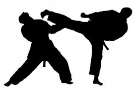 Bildergebnis für siulette taekwondo