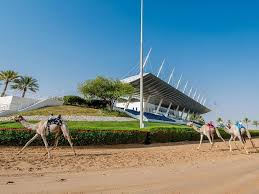 Dubai camel racing club travelers' reviews, business hours, introduction, open hours. Covid 19 Dubai Camel Races Resume With Robot Jockeys Sports Photos Gulf News