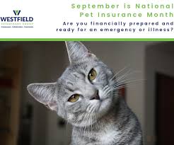 Check spelling or type a new query. September Is National Pet Insurance Month Are You Prepared Union Nj News Tapinto
