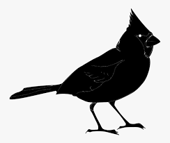 Color, black and white image and silhouette on a white background, vector illustration northern cardinal, a bird of the family of finches. Louis Cardinals Clip Art Bird Northern Cardinal Clipart Silhouette Cardinal Hd Png Download Kindpng