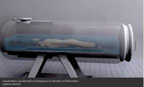 La peau des fesses est considérée comme ayant une valeur importante. Aquamation Une Alternative Ecologique A La Cremation