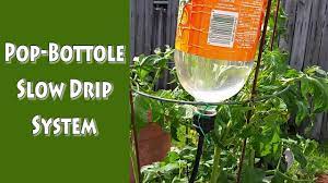 Find everything from quality garden furniture and outdoor solar lights to garden power tools and diy tools at trueshopping. Pop Bottle Slow Drip System Example Youtube