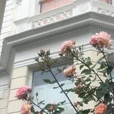 Imagen De Aesthetic Flowers And Pink Flower Aesthetic Pink Aesthetic Pastel Aesthetic