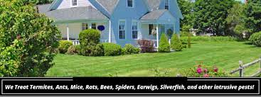 A & m pest control, west yarmouth, massachusetts. Eco Friendly Pest Bug Control Prevention In Cape Cod Ma