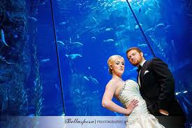 Anitra And Zachary Wedding At Aquarium Of The Pacific 11 30 12 Photographed By Tommy Lu Jeff Hsiao Bellasposa One Sto Wedding Inspiration Wedding Married Life