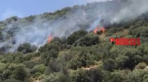 Yangın 5 helikopter 25 arazöz 10 su tankeri 4 dozer çok sayıda itfaiye ekibiyle yangın kontrol altına alınmaya çalışılıyor. Kas Ta Makilik Alanda Yangin Guncel Antalya Hurses