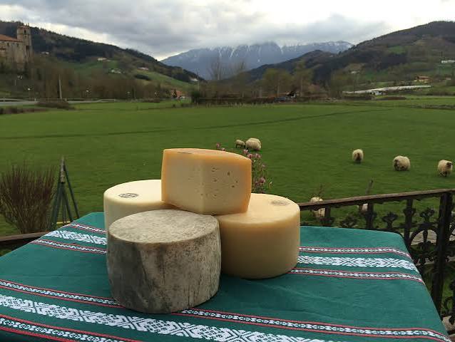 Idiazábal Cheese