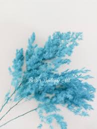 Madame florist i florist jakarta i toko bunga jakarta. Teal Blue Turquoise Preserved Ming Asparagus Fern Dried Flowers Ferns Natural Florist Craft Supplies Floral Home Wedding Decor Arrangement